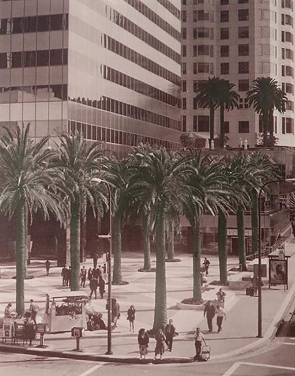people and palms